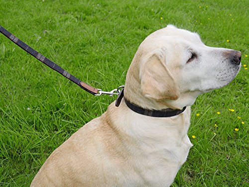 Rosewood 04113 Luxus-Hundehalsband aus Leder für einen Halsumfang von 31-41 cm, Schottenkaro-Tweed