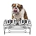 VIVIKO Bone Style Pet Feeder for Dog Cat, Stainless Steel Food and Water Bowls with Iron Stand (Medium)