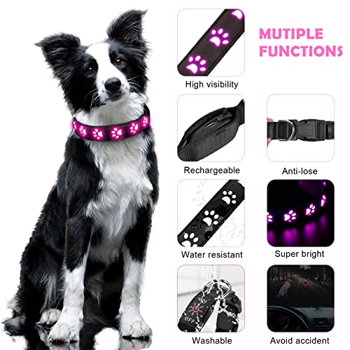 AUAUY Hundehalsband Leuchtend, LED Leuchthalsband Hunde Halsband USB Wiederaufladbar Wasserdichtes für Kleine Mittlere Große Haustier Einstellbar Sicherheit Kragen mit 6 Farben (Colorful-S)