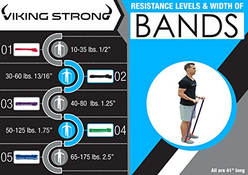 Viking Strong Pull Pull Up Assist Bands - Resistance Bands - Mobility Band - Powerlifting Bands - Jump Stretch Bands, Purple 40-80lbs Single Band