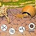 BNOSDM 2 PCS Reptile Carpet Mat Terrarium Liner Bedding Reptile Cage Mat Supplies for Tortoise Lizard Leopard Gecko Snake Chameleon 39.4