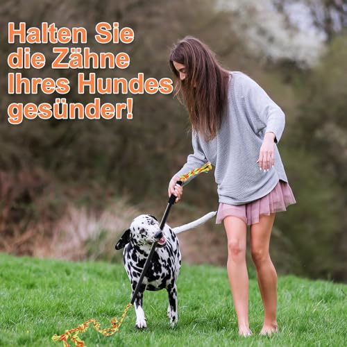 HYSHLC Reizangel Hunde, Reizangel für Hund Große Längenverstellbare, Aktives Hundespielzeug Unzerstörbar, Hundetraining mit Knotenspielzeug Grün und Orange