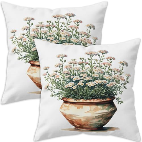 Puacino Daisy Jo[ 18x18C` 2Zbg ʉԕX[s[P[XAfpȃt[|bgNbVJo[ t̔_ K[f JE` \t@ xbh[ z[fR[V