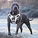 Babyltrl Big Dog Harness No-Pull Anti-Tear Adjustable Pet Harness Reflective Oxford Material Soft Vest for Large Dogs Easy Control Harness (Silver, L)
