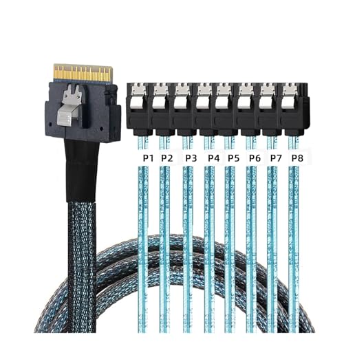 2025 PCI-E S/AS 4.0 SFF-8654 8i a 8X SATA Cord 1m