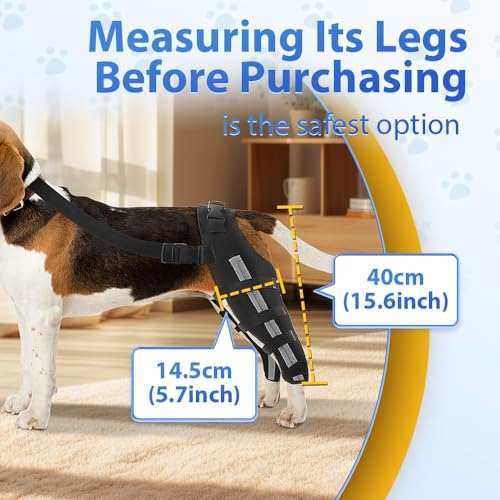 Image of Double Dog Knee Brace for Torn Acl Hind Leg, Double Dog Leg Sleeve, Acl Brace for Dogs Rear Leg for Support, Built-In Hard Metal Spring Support, Outer Night Reflective Strip, Adjustable Strap (Medium)