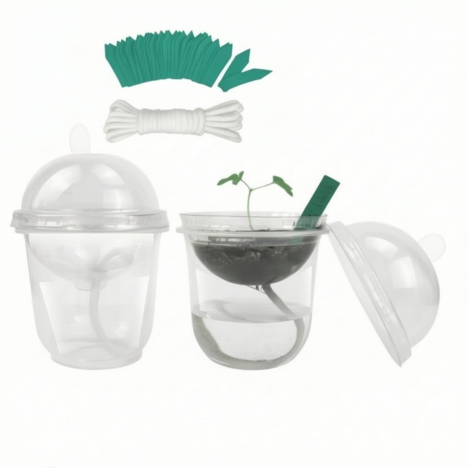 30 Pieces Clear Self-Watering Seedling Cup with Dome Transparent Starter Cups with Humidity Dome Lightweight Starting Pot with Humidity Lid Double-Layer for Gardeners,30 PCS Set-image-30