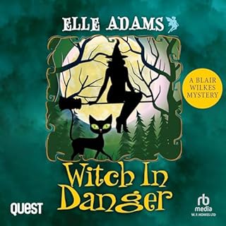 Witch in Danger Audiobook By Elle Adams cover art