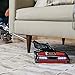 Shark HV382 Rocket DuoClean Ultra-Light Corded (Non-Cordless) Bagless Carpet and Hard Floor with Hand Vacuum, Charcoal