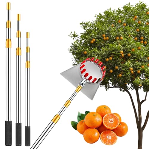 Raccoglitore per frutta con manico telescopico e borsa per raccogliere rami alti