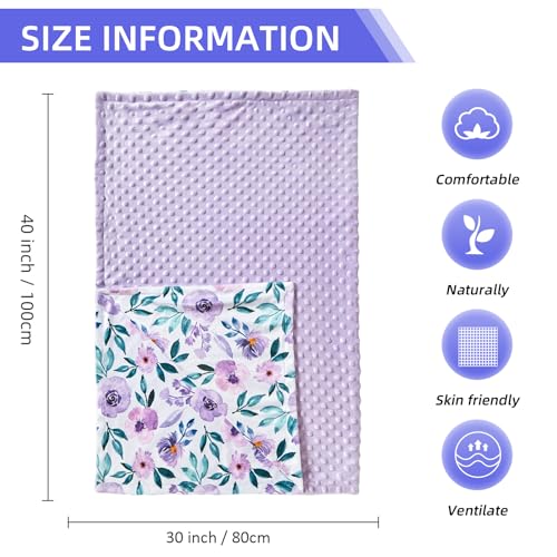 Image of Baby Nursery Bed Blankets Ultra Soft Double Layer Mini Blanket Minky Blanket Receiving Blankets Shower Gifts(30 inch*40 inch,Roses)