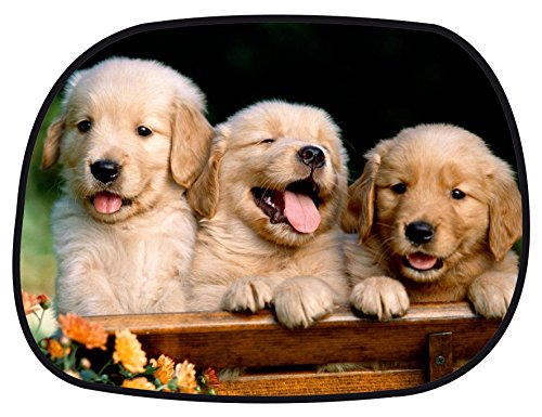 Walser 16706 Tendina Parasole per finestrino