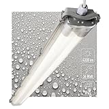 LED's light Basic