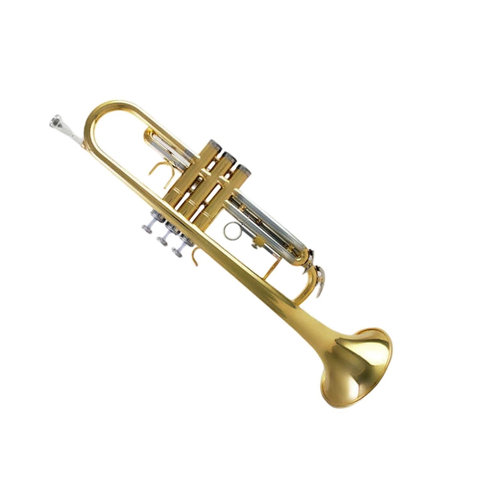 Standard Trumpet Trąbka B dla początkujących