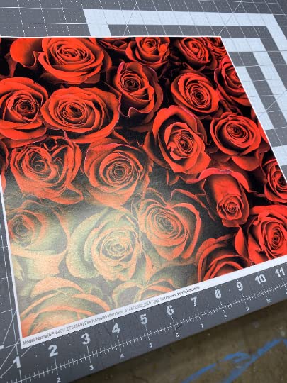 Printed Adhesive Vinyl Red Roses Pattern (Permanent Adhesive)