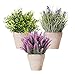 Mini Piante in Vaso di Soldi Artificiali Foglia Set di 3 Lavanda Cedro Germoglio Verde in Vaso Fiori Finti Erba Sintetica Plastica Piccola Pianta D'appartamento da Interno Scrivania Bonsai Verde