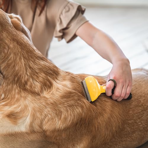 Retoo Brillirare Hundebürste & Katzenbürste für Kurz, Unterwollebürste zur Fellpflege & Haarentfernung, Entfilzende Fellbürste für Große & Kleine Hunde und Katzen, Perfekt für Kurze & Lange Haare