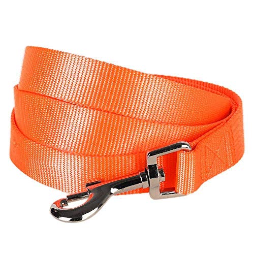 Blueberry Pet Durable Classic Solid Color Dog Lead 150 cm x 1.5cm in Florence Orange, Small, Basic Nylon Leads for Dogs, Matching Collar & Harness Available Separately