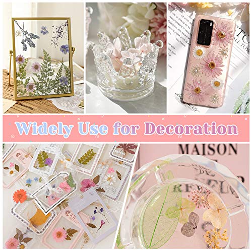 102Pcs Dried Pressed Flowers for Resin, Real Dried Flowers Leaves Bulk for Resin Molds Natural Dry Herbs Kit for Scrapbooking, Jewelry, Candle, Soap Making, Nails Décor, Art Supplies,Tweezers Included