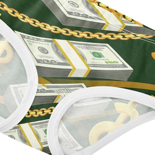 Animal Girls Underwear Toddlers 2t Cotton Girl Panties Cute Stacks US Hundred Dollar Bills Briefs Girls Undies4