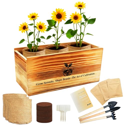 Sunflower Seed for Planting, Windowsill Plant Growing Kit with Planting Bags, Coir Soil & Tools Indoor Garden Plant Starter Kit, Sunflower Gifts, Gardening Gifts for Women & Men