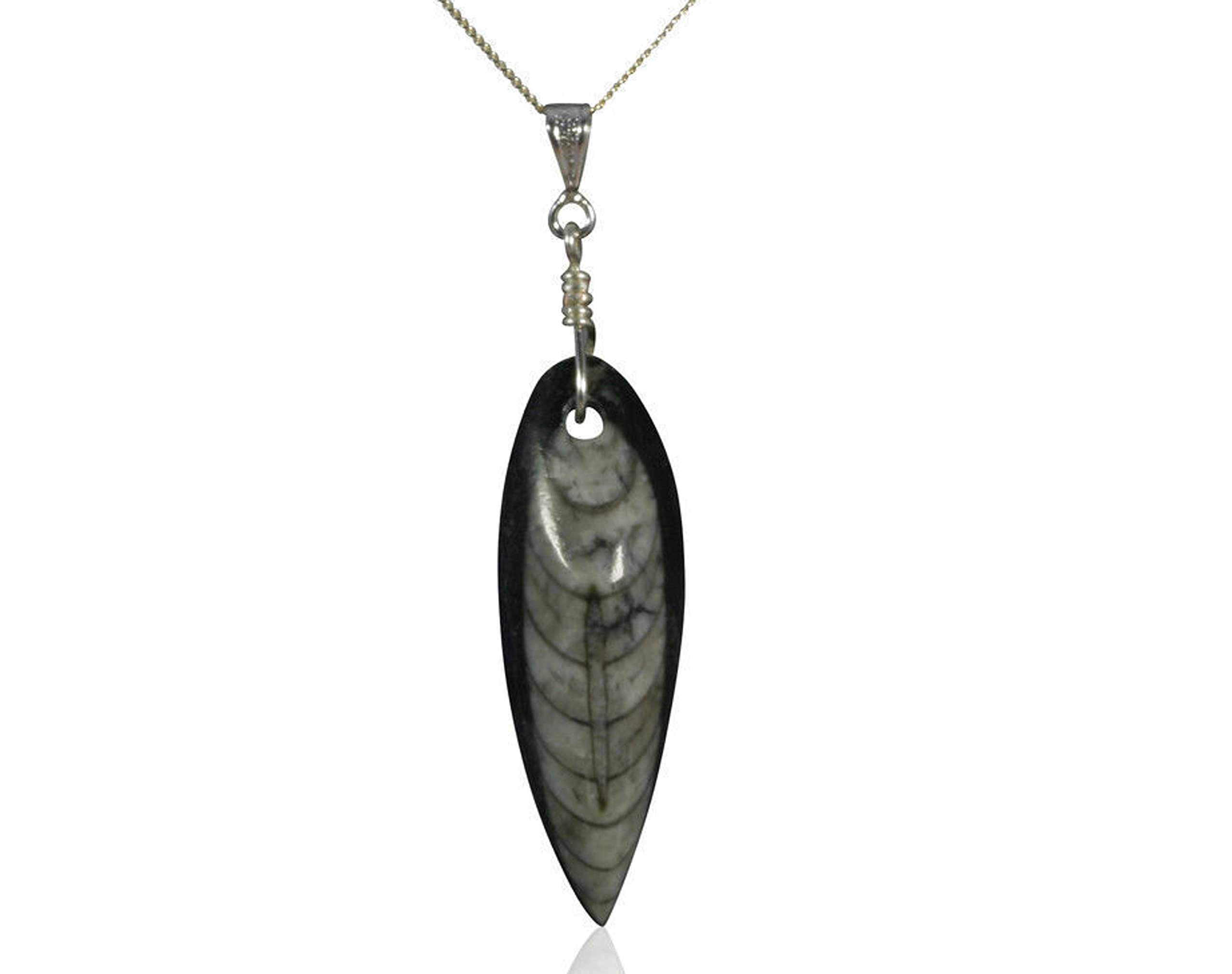 Jurassic Jewellery Beautiful Fossil Orthoceras Pendant - Boxed And on Sterling Silver Chain