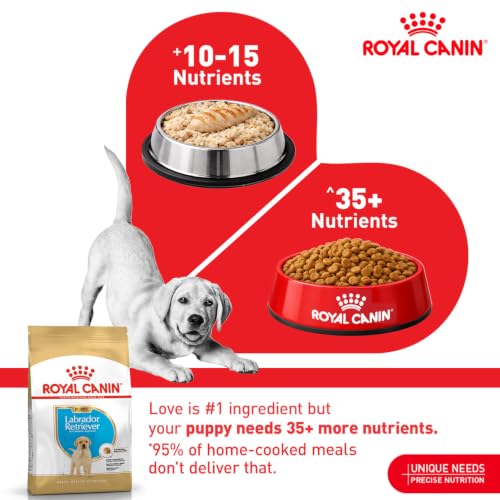 Image of Royal Canin Labrador Retriever Puppy Food, 200 Grams, Dry Food, Supports Immune System & Digestive Health, Promotes Healthy Growth & Weight