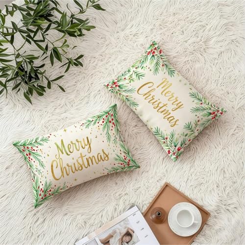 Housse coussin 50x80cm vert lot de 2 en velours imperméable double face