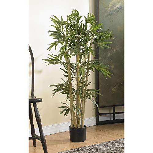 Consejos y comparativas para Comprar Plantas bambú gigante Top cinco. 11 Imagen adicional