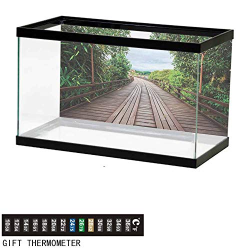 wwwhsl Aquarium Background,Poster Fish Tank Background,Wooden Bridge Between Exotic Trees Jungle Freshening Relax