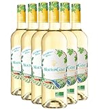 Sélectionné par notre comité de dégustation