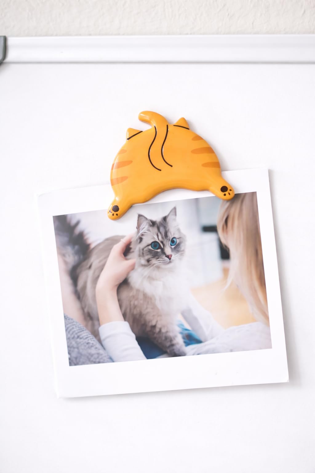Pearhead Cat Bum Kitchen Magnets, Pet Themed Refrigerator Magnets, Funny Novelty Gift for Cat Lovers and Pet Parents, Ideal Decor for Home, School Locker and Office Whiteboard, Set of 4