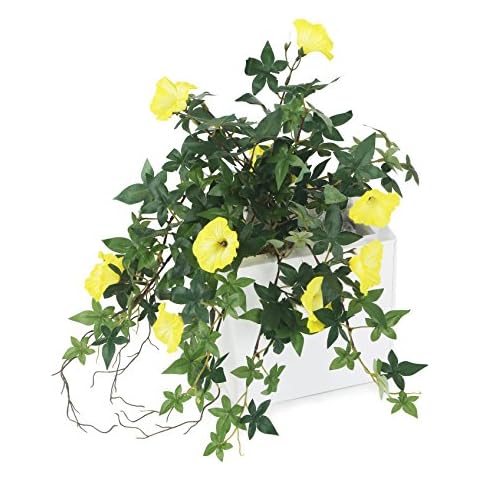 Closer2Nature Artificial 43cm Yellow Morning Glory Plug Plant, Faux Decoration Hanging Plants for Indoors in Home, Kitchen, Lounge and Office or Outdoor Foliage in Garden - Pot Not Included Cover