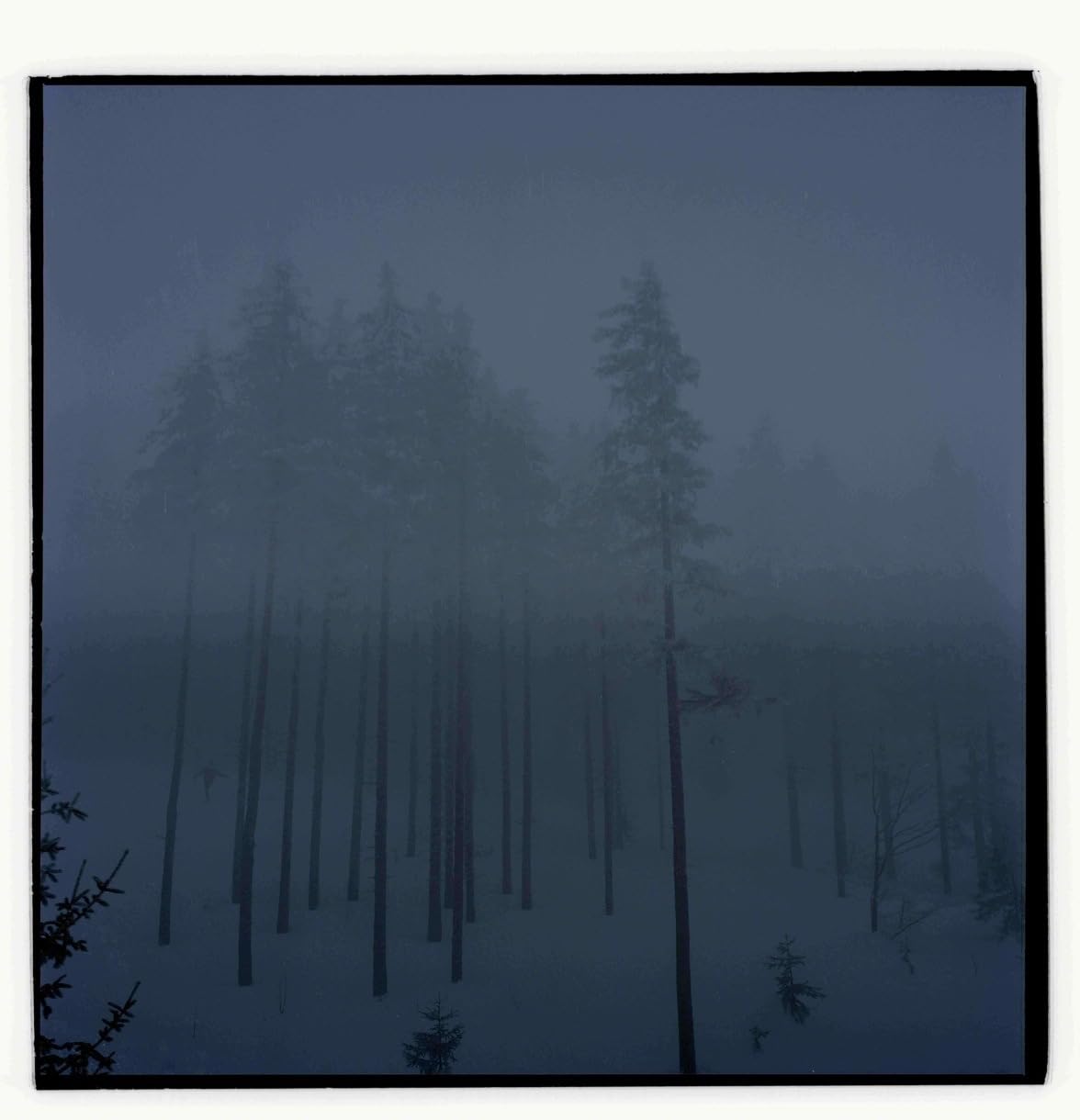 Voice of Source ' Eject series' framed photographs by Iulia Filipovscaia a contemporary artist founder of Voice of Source home decoration artwork photograph interior piece (2)