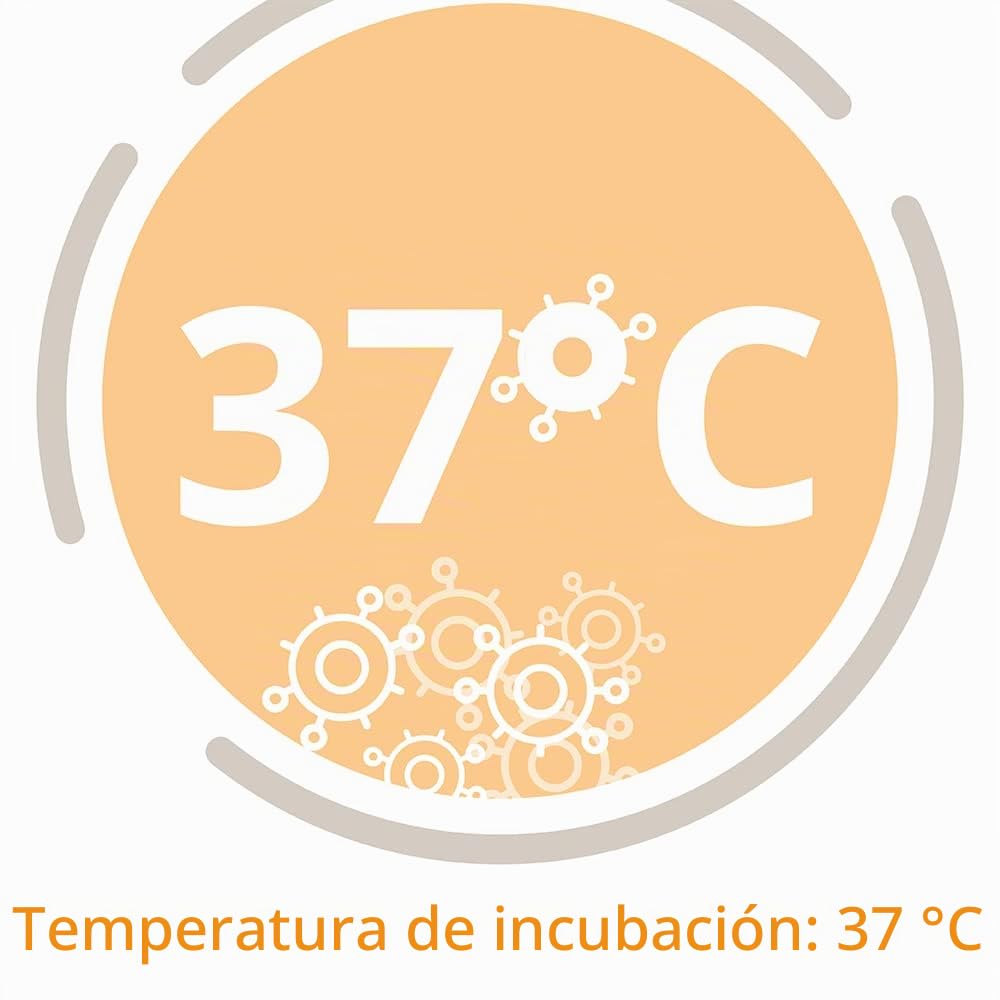C3 10421 - Lote de 20 caldos de cultivo de champiñones agar según Kimmig