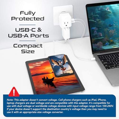Image of Ceptics Israel, Jordan Power Plug Adapter Travel, 20W PD & QC, Safe Dual USB & USB-C 3.1A -2 USA Socket - Use in Jerusalem, Palestine, UAE - Includes Type H, Type C, Type G Swadapt Attachments