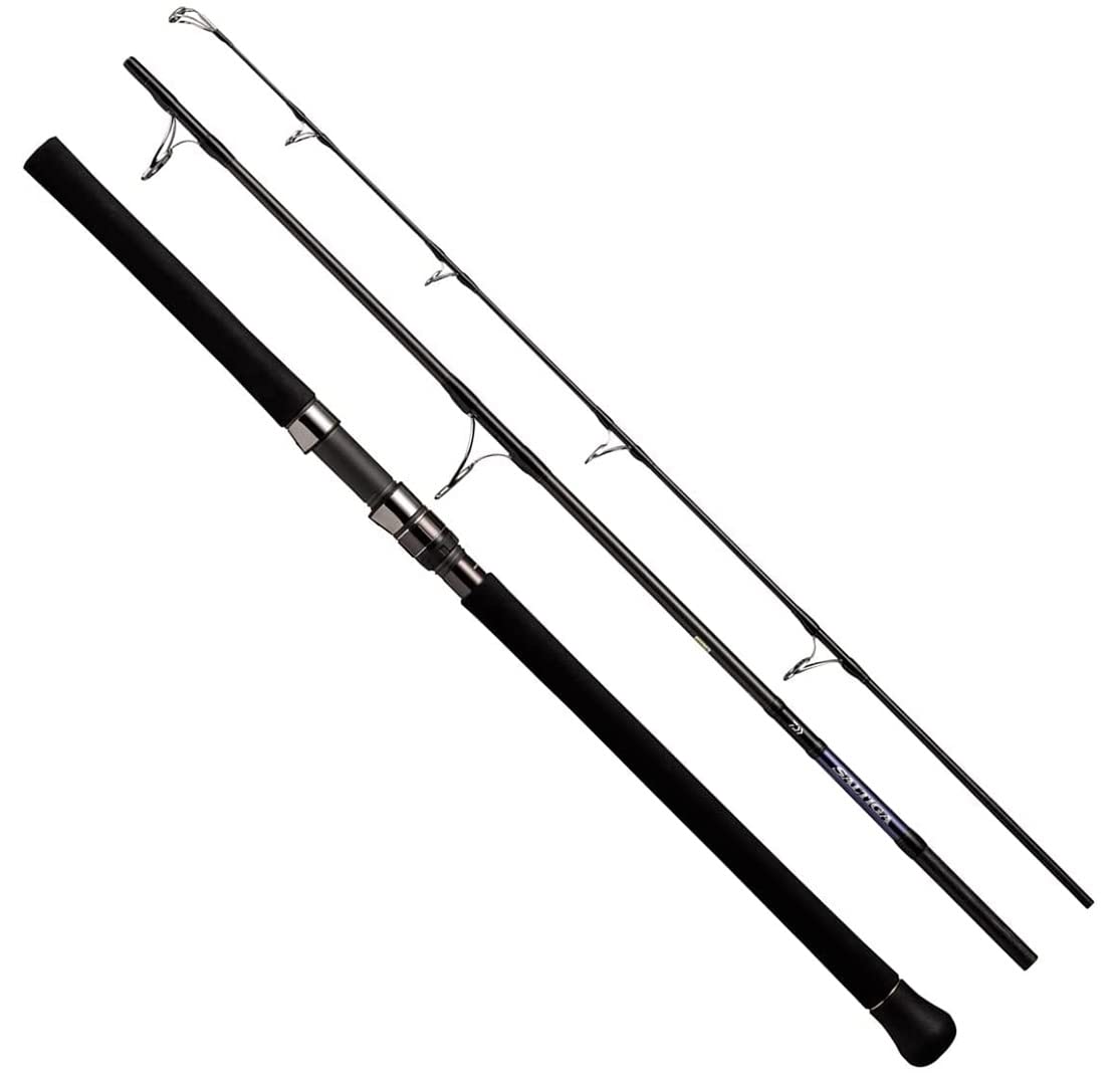 Amazon | ダイワ(DAIWA) ソルティガAP C86-8 | ダイワ(DAIWA 