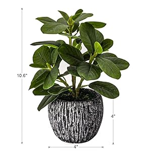 Artificial Potted Plant, Real Touch Artificial Oak Leaves Waterproof Fake Plants Indoor Outdoor, Eco Friendly Modern Concrete Greenery Plant Pots for Office Home Kitchen Shelf Farmhouse Decor Artificial Potted Plant Real Touch Artificial Oak Leaves Waterproof Fake Plants Indoor Outdoor Eco Friendly Modern Concrete Greenery Plant Pots for Office Home Kitchen Shelf Farmhouse Decor