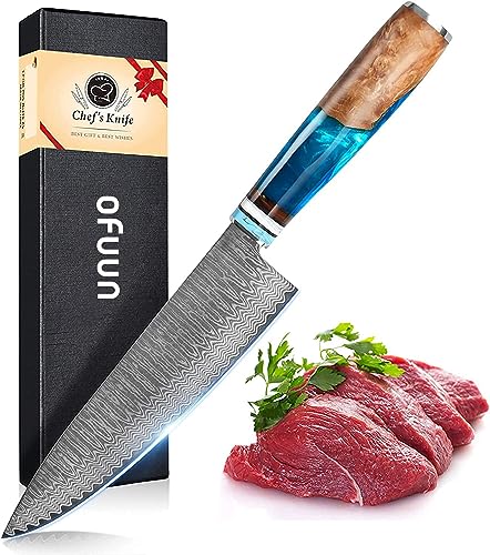 oFuun Cuchillo Cocina Damasco, 20cm Cuchillo Chef Japones de Acero Damasco de 67 Capas, Mango de Resina Azul, Cuchillo de Cocinero Profesional para Cortar Verdura, Fruta, Carne y Pescado