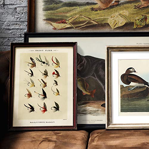 Trout Flies Fish Print, Vintage Fishing Poster Wall Art Decor, Gift For Dad, Man, Fisherman Cabin Gift Cabin Poster | C50 16X20 #TOP5