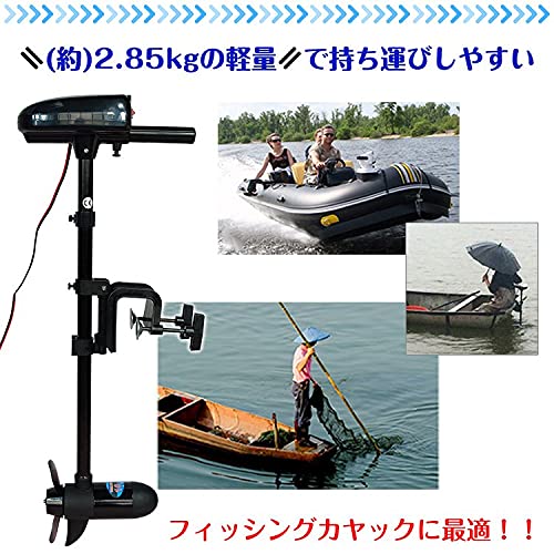 Amazon.co.jp: 雑貨の国のアリス 船外機 2馬力未満 釣り DC12V 海水 
