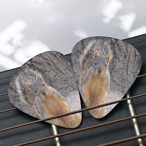 Squirrel Lot de 12 médiators pour guitare basse électrique acoustique - Les Beatles, Paul McCartney, John Lennon, RIngo Starr, George Harrison Squirrel Lot de 12 médiators pour guitare basse électrique acoustique – Image 8