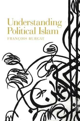Understanding Political Islam      1st Edition, Kindle Edition