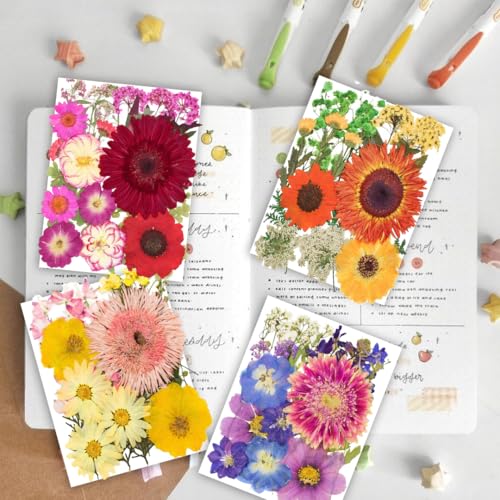 Image of 122PCS Large Nature Dried Pressed Flowers for Resin Mold, Real Dry Pressing Floral with Butterfly Transparent Stickers Set for DIY Jewelry Making Nail Card Scrapbook Art Craft Love Parade
