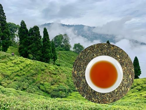 Margaret's Hope Darjeeling Tea, Darjeeling Tea made from the small-leaved Chinese variety of Camellia sinensis var. – 1 lb. Tea in Foil Bag. — view 5