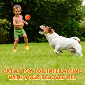 Susu  Wuwu Durable Dog Chew Balls for Aggressive Chewers  Interactive Toy for Dental Health Benefits  Indestructible Dog Tennis Balls 4 Balls 25inch4pack  Cucciolini Doodles Susu  wuwu durable dog chew balls for aggressive chewers  interactive toy for dental health benefits  indestructible dog tennis balls 4 balls 2 5inch 4pack   cucciolini doodles