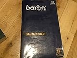 bar/bri Bar Review Multistate MS 2006
