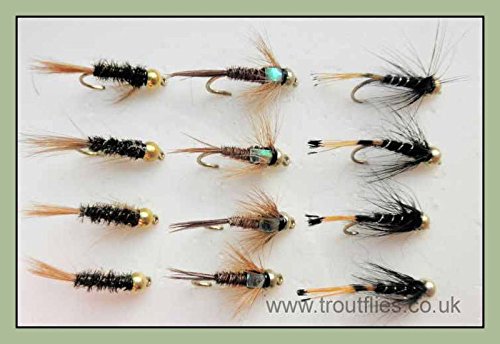 Gold Head Nymph Trout Flies, 12 pack, Black Pennell, Diawl Bach, PTN, Size 10/12