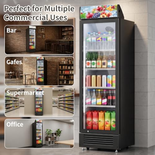 Image of DOGHLY 9 Cu.Ft Commercial Glass Door Beverage Refrigerator, Rapid Cooling