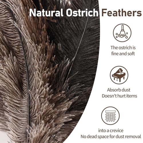 Image of Ostrich Feather Duster 16.5-47Inch Reusable Fluffy Natural Detachable Ostrich Feather Duster Used for Household Cleaning and High-Altitude Cleaning (1PCS)